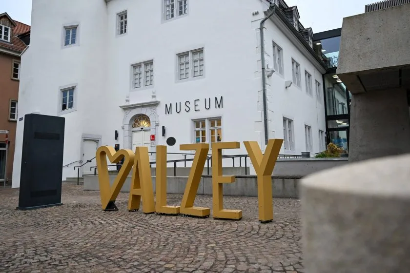 Schildkröten, Urzeit und Forschung: Museum Alzey lädt zu besonderem Themenwochenende ein