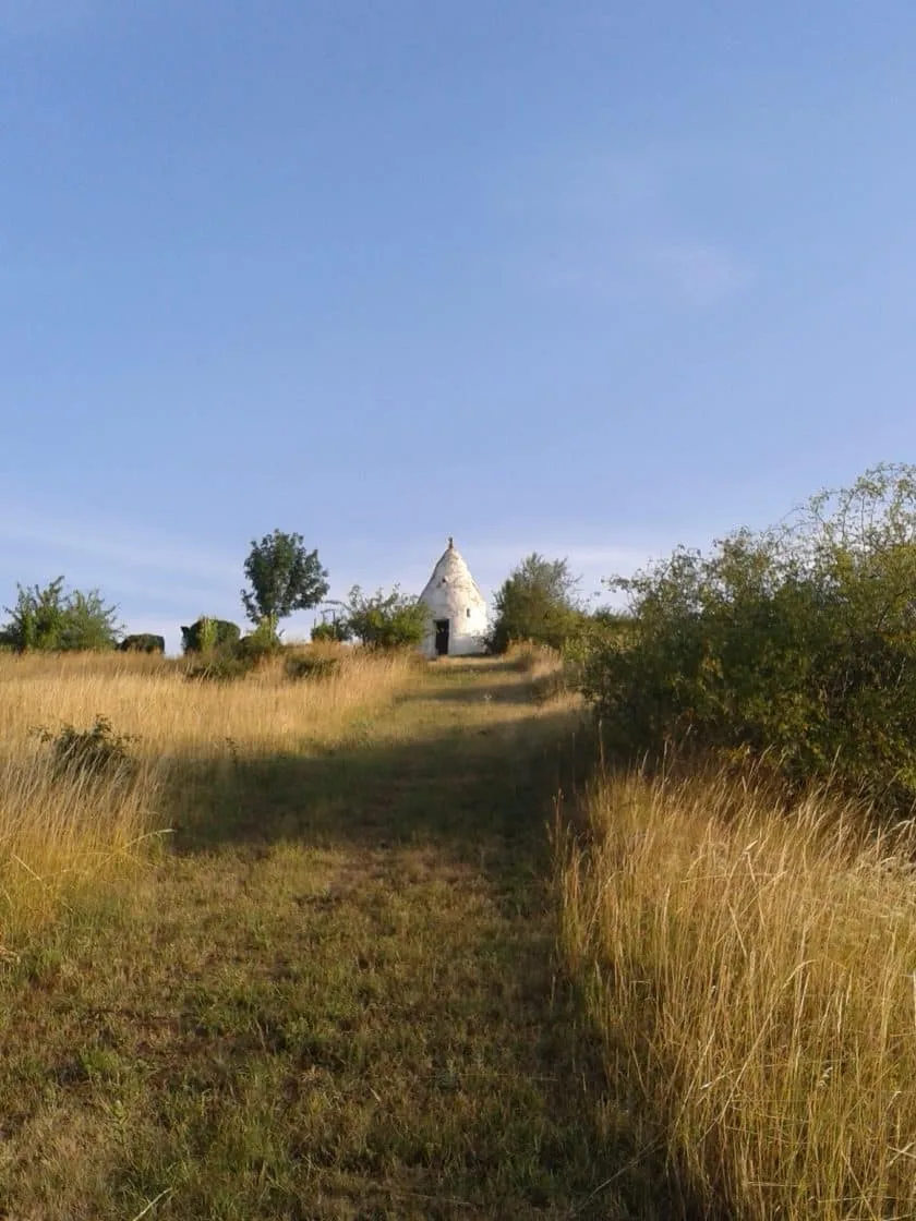 Auf Entdeckungstour: Geführte Wanderung am Küstenweg Rheinhessen