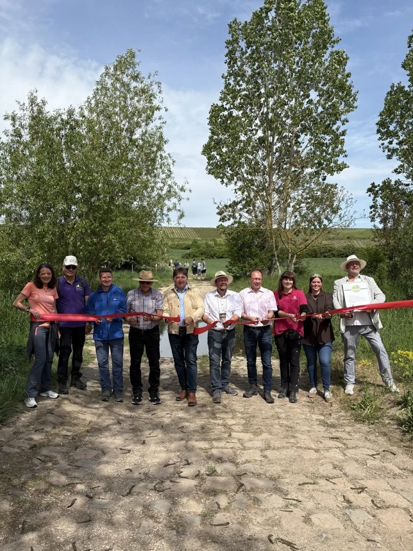 Hiwweltour Saulheimer Hölle offiziell eröffnet – neuer Prädikatswanderweg zwischen Weinbergen und Panoramen