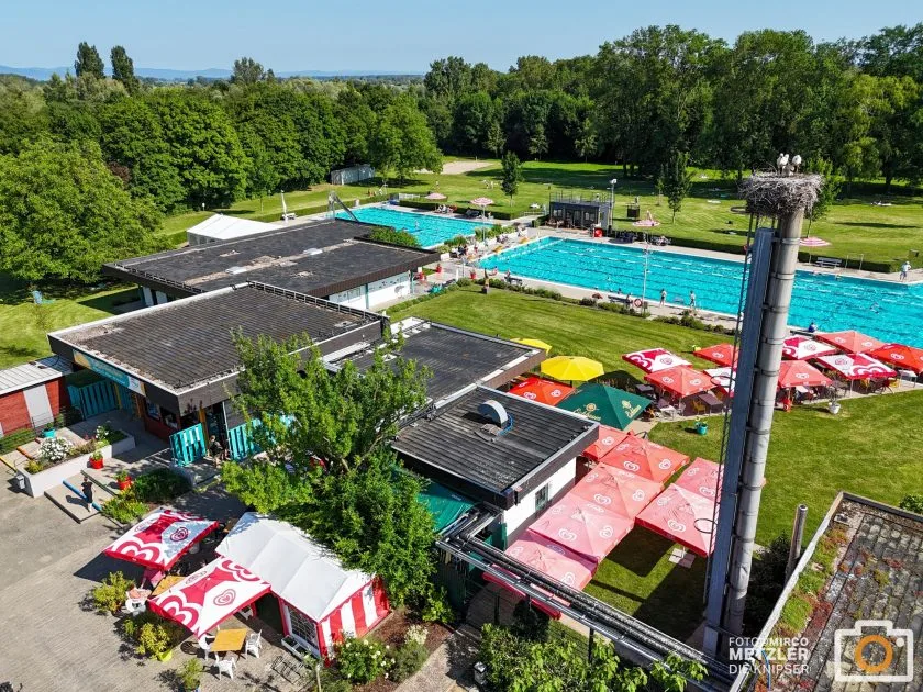 Schwimmen für den guten Zweck: Gimbsheimer Freibad sammelt 20.000 Euro für Beckensanierung