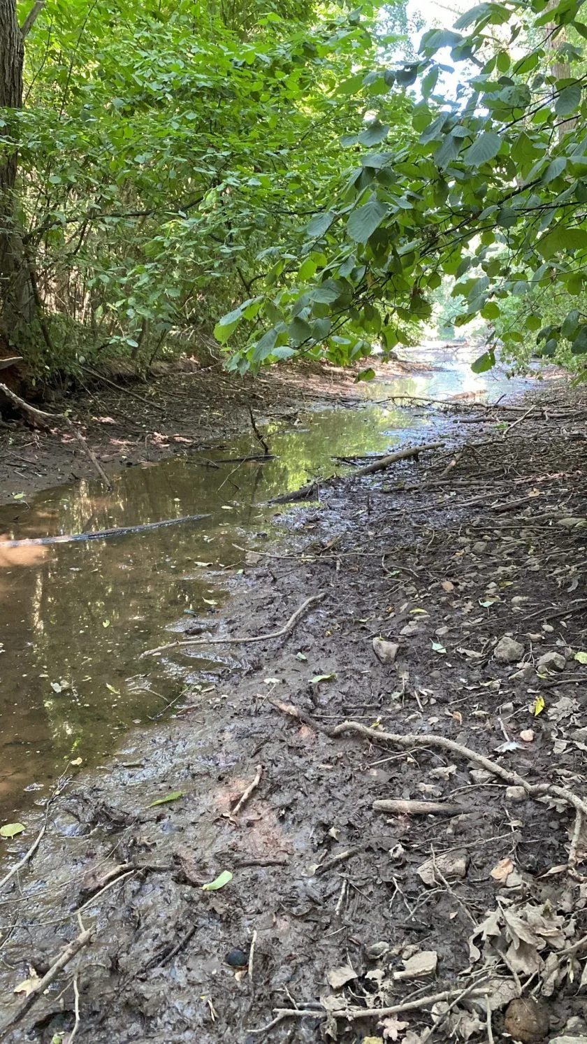 Pfrimmweiher gerettet: Nach Bürgerhinweis reagiert Stadt innerhalb weniger Tage