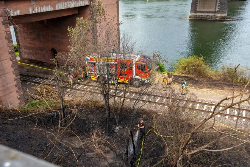 Feuerwehr im Dauereinsatz am Dienstag: Drei Vegetationsbrände fordern Einsatzkräfte in und um Worms