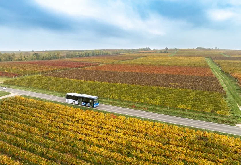 Fahrgastboom im Raum Alzey: Buslinien verzeichnen deutliche Zuwächse