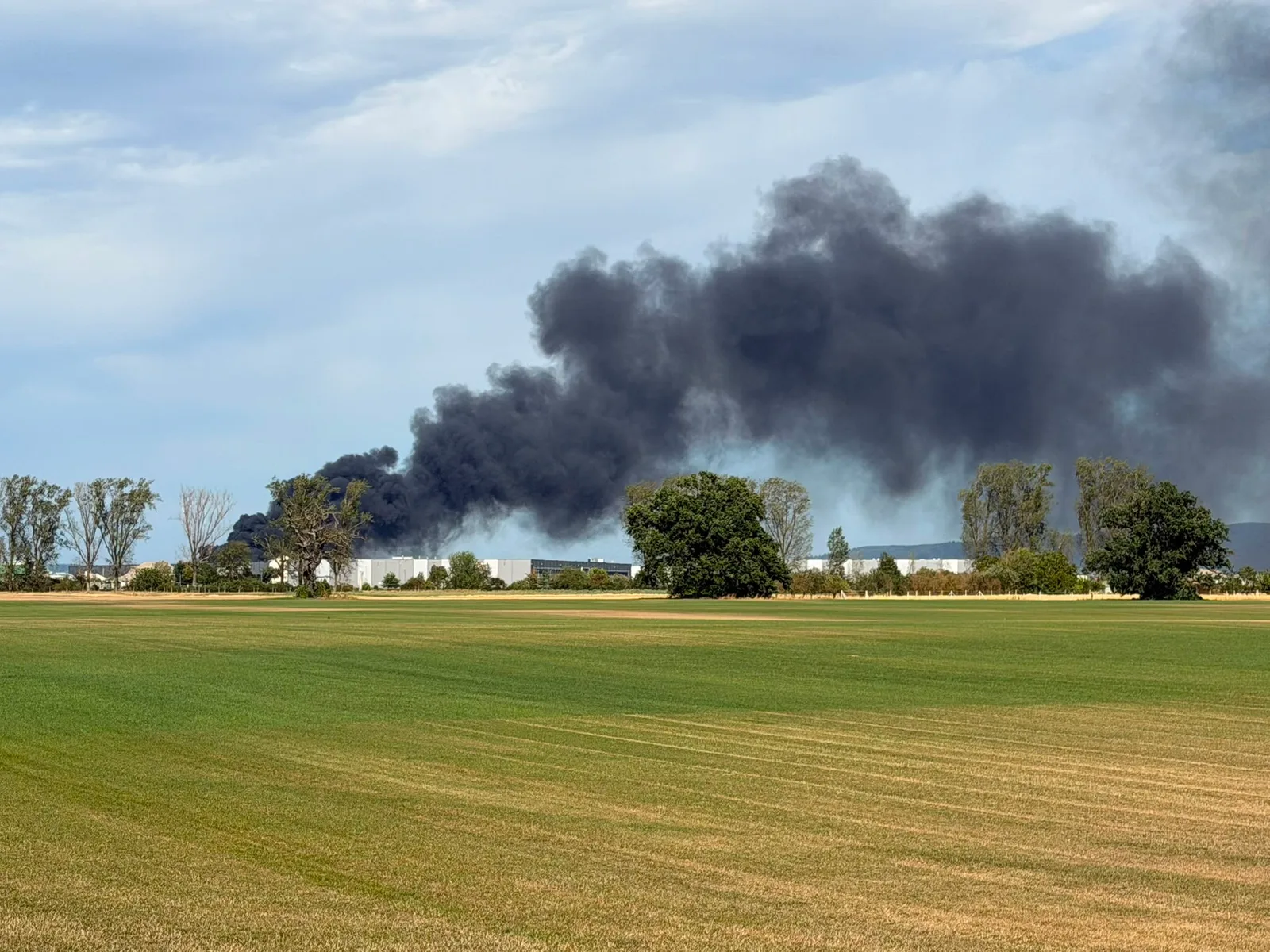 Großbrand bei Gernsheim – Massive Rauchentwicklung