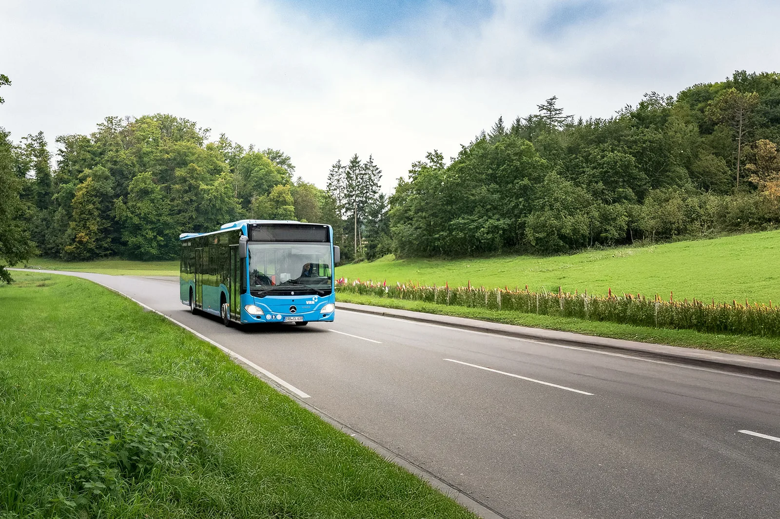 Mit dem Schulbus direkt zum Unterricht: Kreis Bergstraße optimiert Fahrpläne zum Schulstart