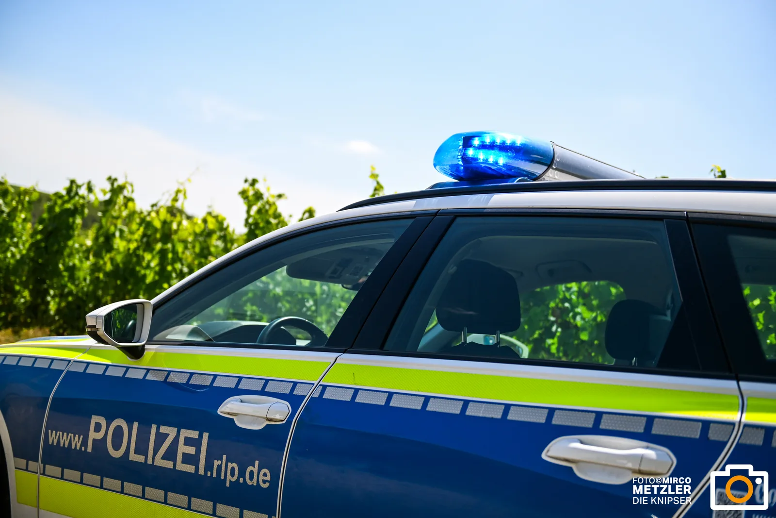 Weintrauben in Dienheim gestohlen: Täter ernten acht Rebzeilen ab