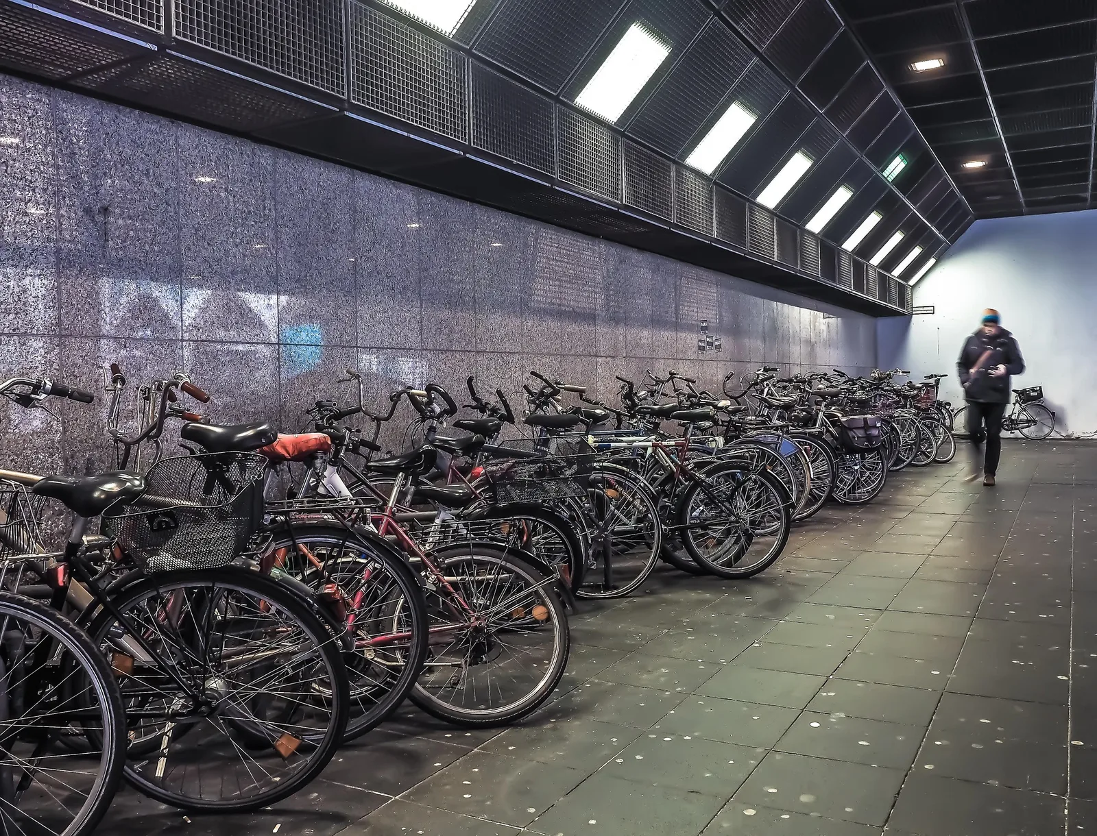 206 neue Fahrradstellplätze für Schulen und Verwaltung im Landkreis Alzey-Worms
