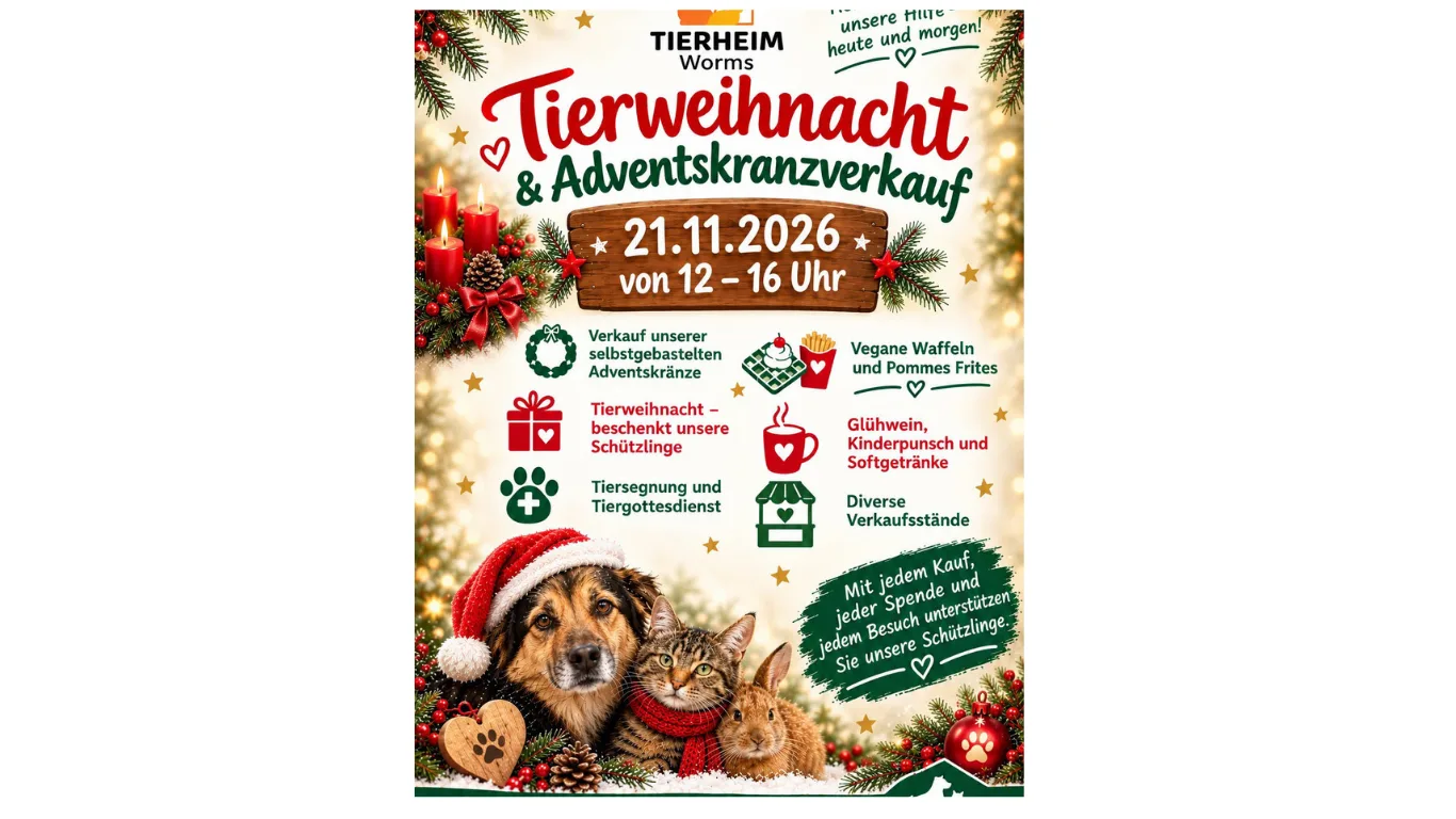 Tierweihnacht im Tierheim Worms: Adventskranzverkauf und Aktionen für den guten Zweck
