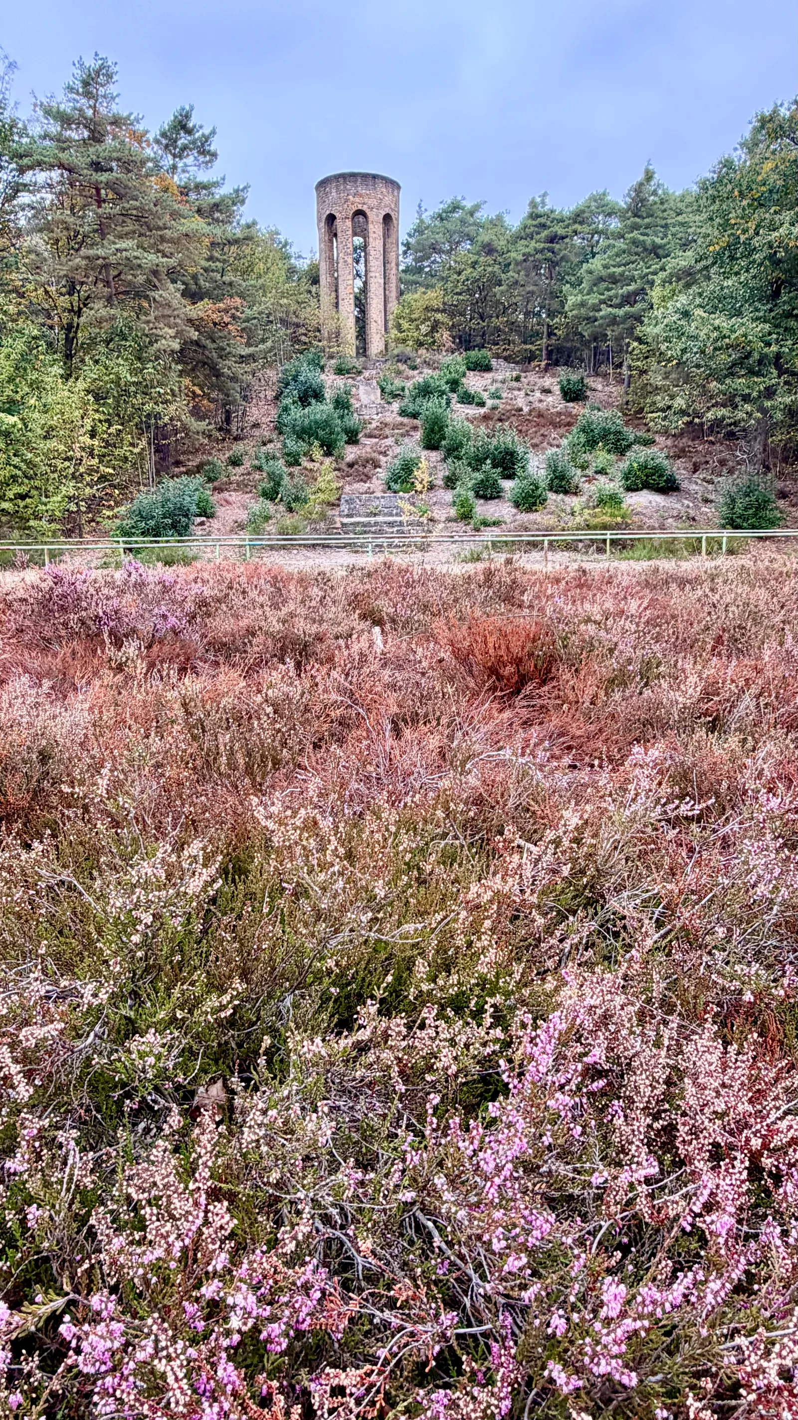 Martinswanderung bei Deidesheim: Auf herbstlichen Wegen zur Wallberg-Heide