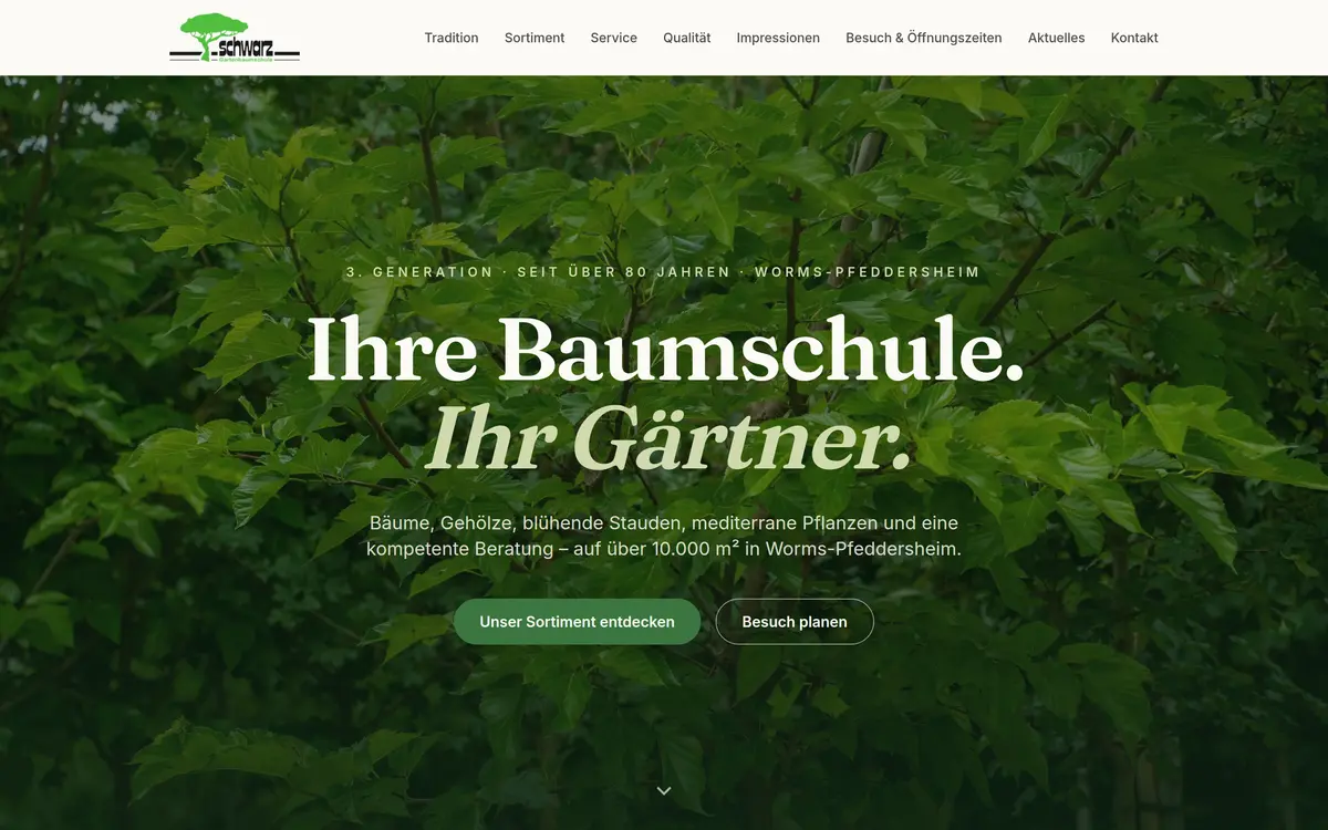 Website nachher