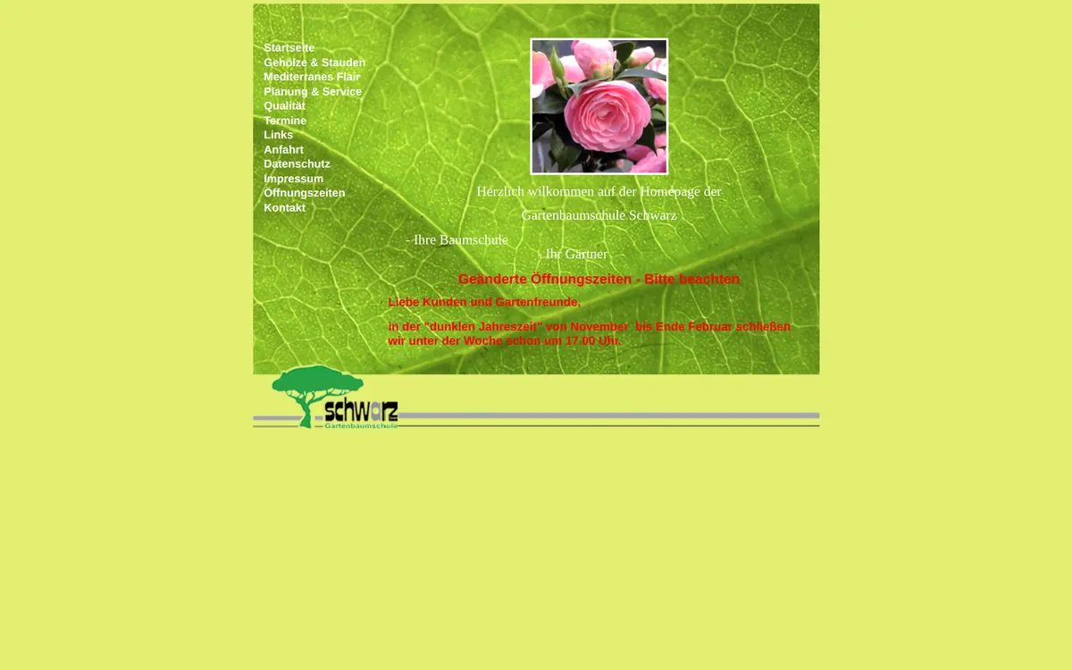 Website vorher