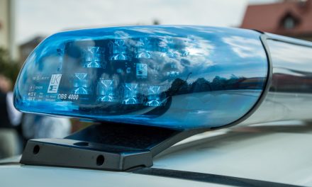 Polizeiautobahnstation Ruchheim – Ford-Fahrer unter dem Einfluss von Kokain auf der A61 unterwegs