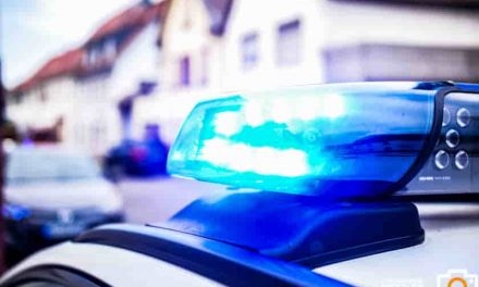 Gau-Bickelheim – Betrunkener fährt Laterne um und tritt nach Polizisten