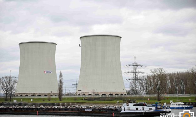 Metzler sieht derzeitigen Ausstieg aus der Atomkraft kritisch