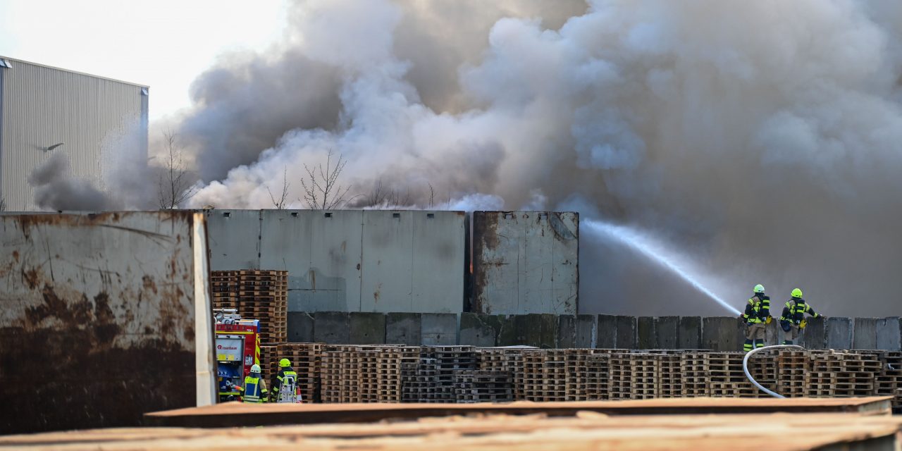 Brand bei der Firma Velte Rohstoffhandel WORMS: Mehrere Einheiten im Einsatz / Katze entdeckt und gerettet
