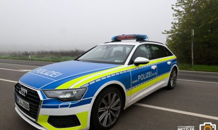 Ingelheim – Autoscheibe eingeschlagen und Geldbörse gestohlen – Zeugen gesucht