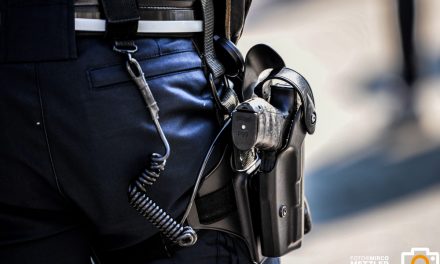 Polizeiinspektion Grünstadt – Widerstand geleistet