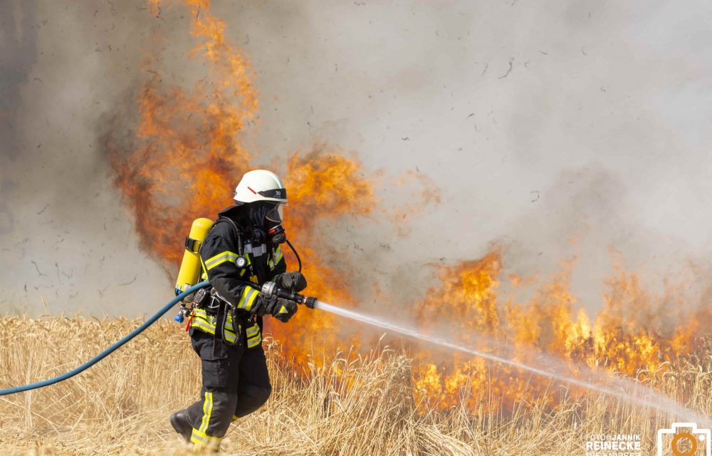 Mehrere Flächenbrände am Wochenende in der VG Eich und darüber hinaus