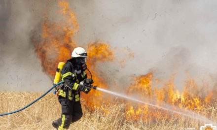 Mehrere Flächenbrände am Wochenende in der VG Eich und darüber hinaus