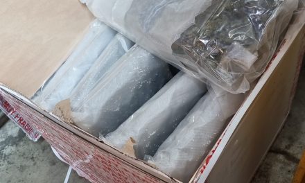 Erneute Rauschgiftsicherstellung in Postpaketen – Zollfahndung und Polizei nehmen zwei Tatverdächtige fest