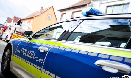 Rund 6150 Euro Geldstrafe – Bundespolizei vollstreckt fünf Haftbefehle am Flughafen Frankfurt