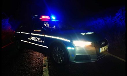 Grünstadt – Auffahrunfall – Person leicht verletzt