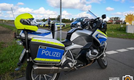 Grünstadt – Motorradfahrer gestürzt