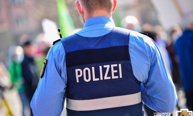 Frankenthal  – Kennzeichenschild und Fahrzeugpapiere gestohlen – Zeugen gesucht