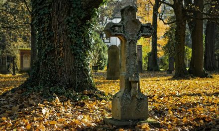 Nackenheim – Grabstätten auf Friedhof beschädigt