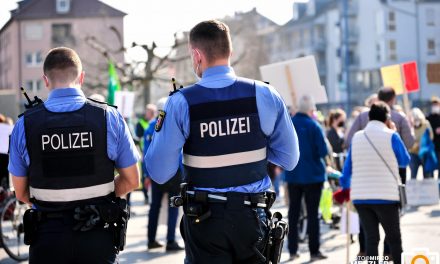 Frankfurt/Main – Gesuchter Straftäter schlägt um sich und bespuckt Bundespolizisten