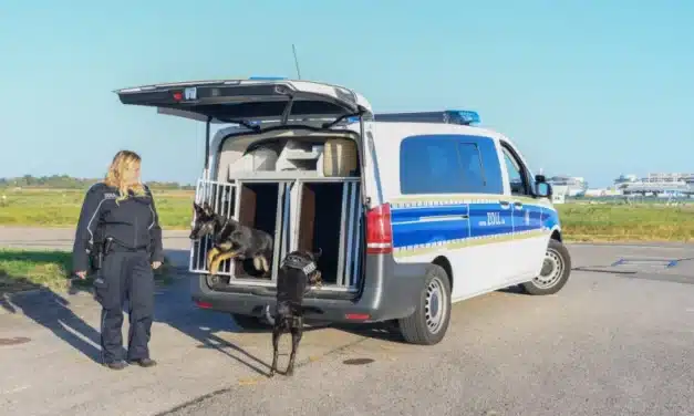 In Rente mit elf Jahren? Zollhund Dewi vom Stuttgarter Flughafen geht in den Ruhestand