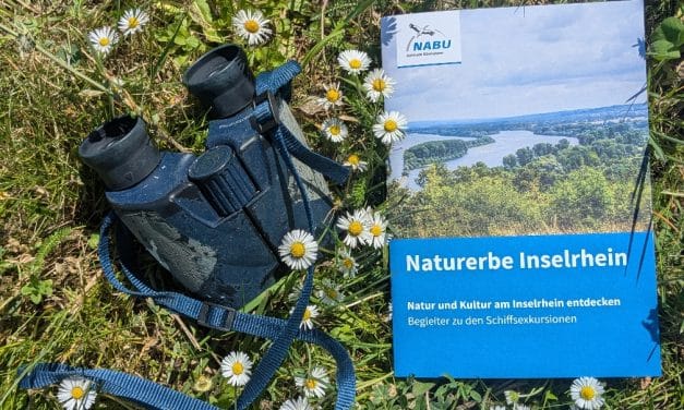 Inselrhein entdecken – Broschüre Naturerbe