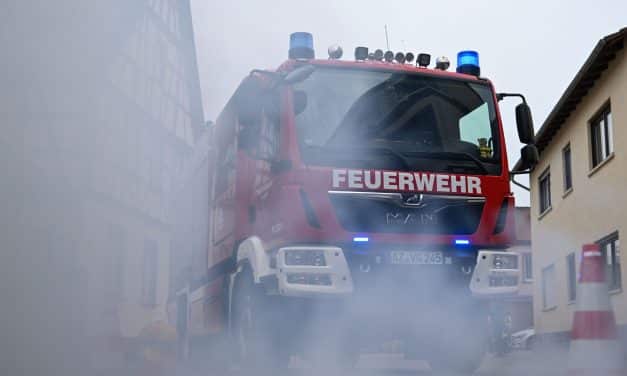 Vegetationsbrand bei Nackenheim: Feuerwehr im Einsatz