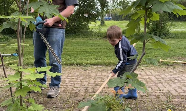 Paternusbad startet im Juni mit neuem Kombibetrieb