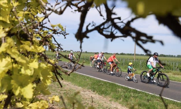 EWR-RheinRadeln am 18. Mai – sportlich, grün und gesellig