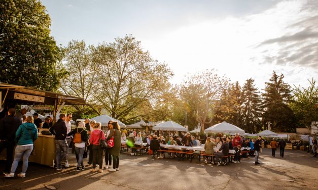 Scheu time 2025: Alzey startet mit Genuss und Musik in die Weinfestsaison