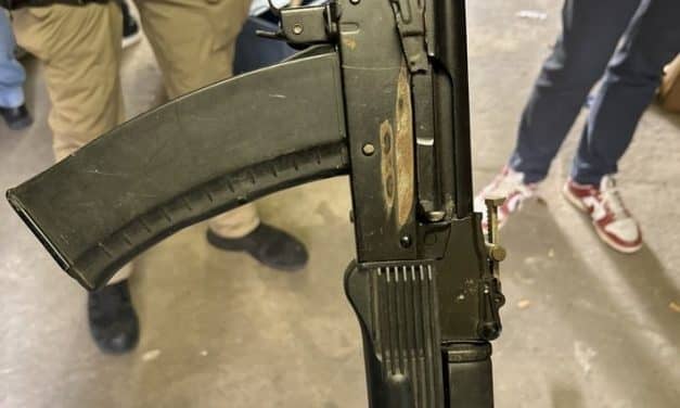 Koordinierter Schlag: Mehrere Mitglieder krimineller Banden festgenommen