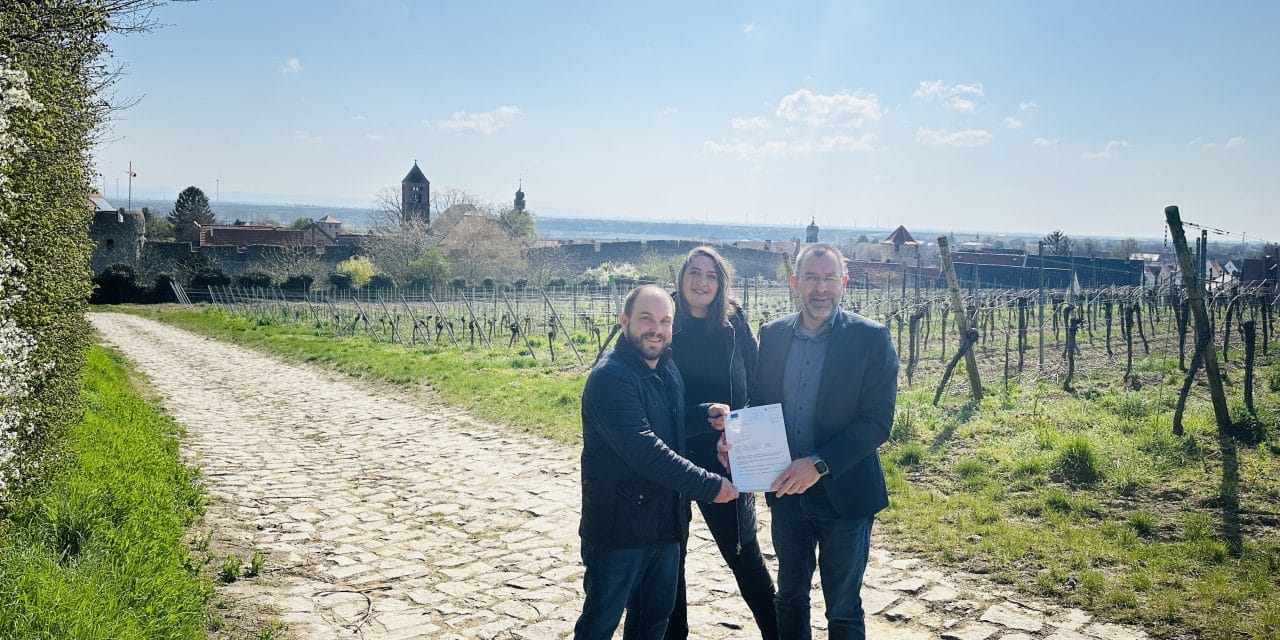 Hohe EU-Förderung für Sanierungskonzept der Fleckenmauer in Flörsheim-Dalsheim