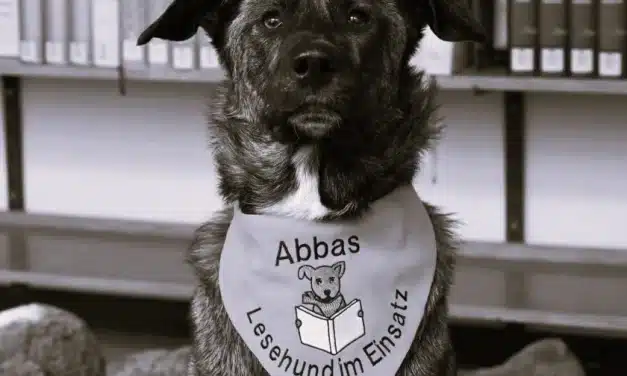 Die Stadtbibliothek trauert um Vorlesehund Abbas