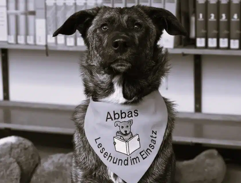 Die Stadtbibliothek trauert um Vorlesehund Abbas