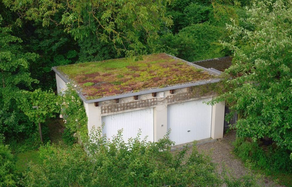 „Was Sie schon immer über Regenwasserrückhaltung & Gebäudegrün wissen wollten“