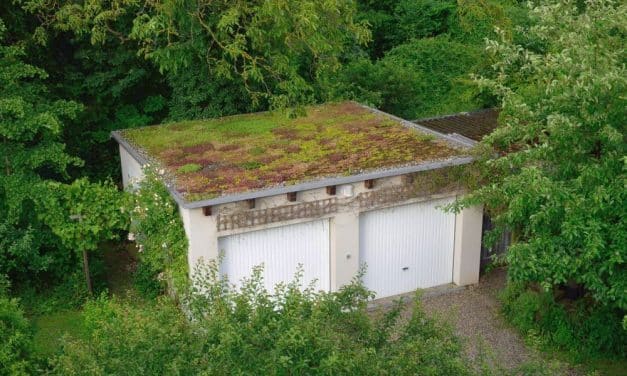 „Was Sie schon immer über Regenwasserrückhaltung & Gebäudegrün wissen wollten“