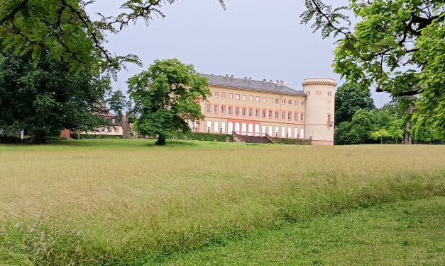 Neues Bewegungsangebot für Senioren: „Bewegung im Schlosspark“