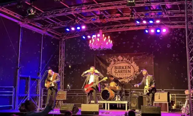 Birkengarten Festival in Lorsch: Familienpicknick mit perfektem Soundtrack! 5-Tage voller Programm, Street Food, Illuminationen & grandioses Ambiente!