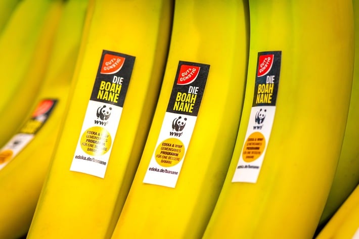 BOAHNANE: EDEKA startet Bananen-Revolution