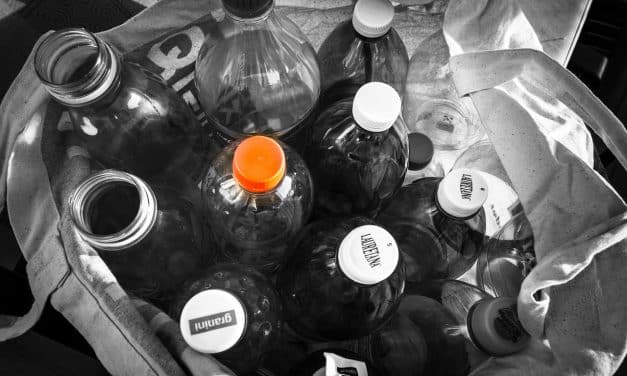 Pfand für den guten Zweck: ALDI Osthofen unterstützt Kita Arche Noah