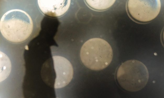 Versuchter Einbruch in die Fundgrube in Oppenheim