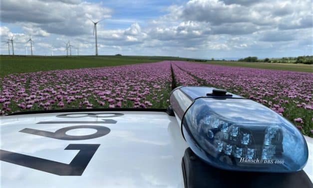 Autofahrer unter Alkoholeinfluss