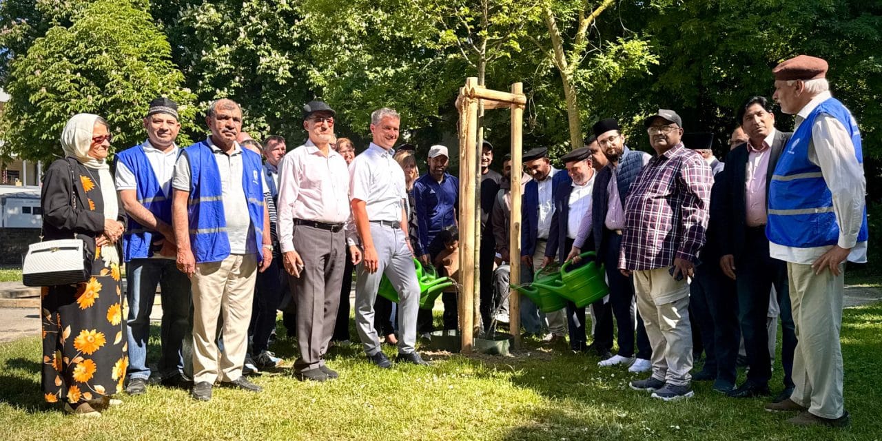 Grüne Stadt: Alzey wächst – Baum für Baum