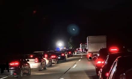 Verkehrsunfall auf der B9 bei Worms mit einer leicht verletzten Person